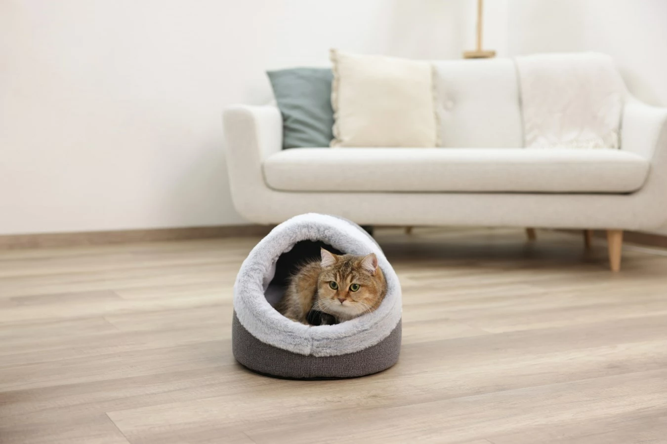 Shtrat për kafshë KERBL Jana Cave, Gri