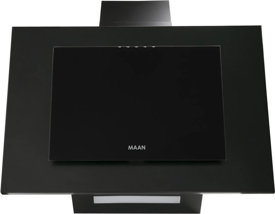 Aspirator MAAN Vertical P 2 50, 310 m3/h, i zi