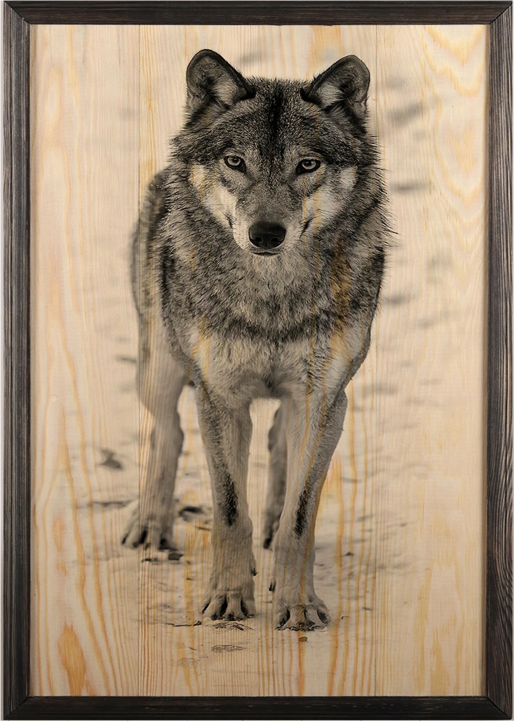 Pikturë dekorative me kornizë druri, ujk, Wallity, shumëngjyrëshe, 35x50cm