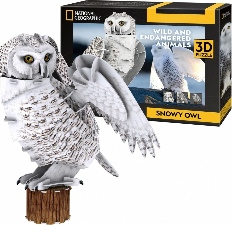 Puzzle 3D Cubic Fun National Geographic Snowy Owl, 62 pjesë