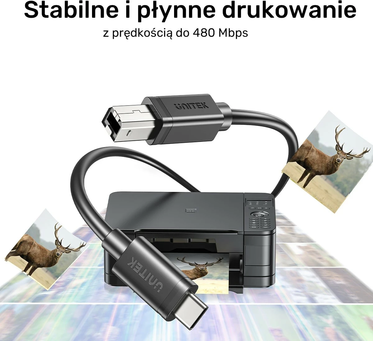 Kabëll Unitek, USB-C në USB-B 2.0, 5m, i zi