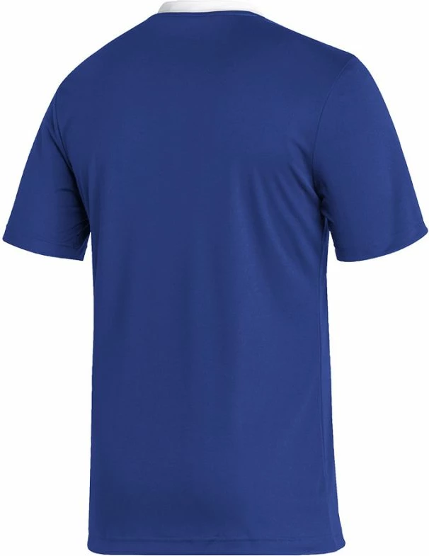 Maicë për meshkuj adidas Entrada 22 JSY M HG6283, blu