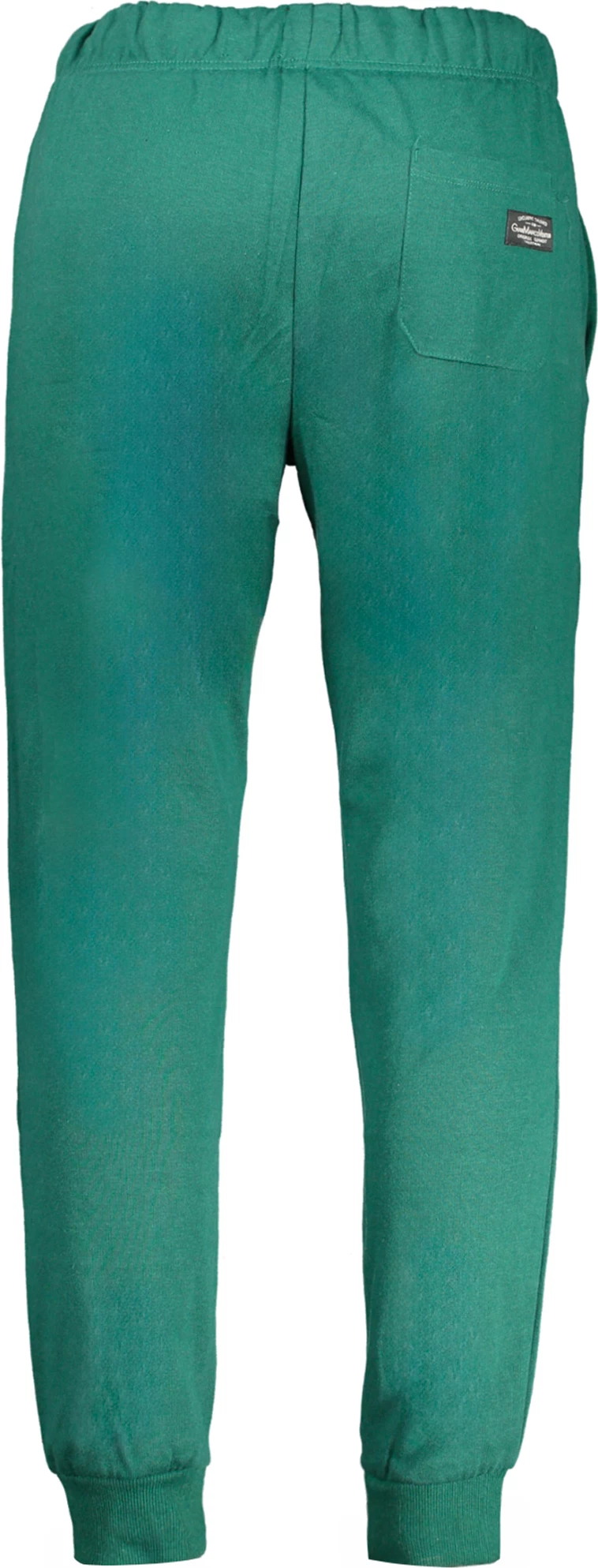 Pantallona sportive GIAN MARCO VENTURI meshkuj, të gjelbra