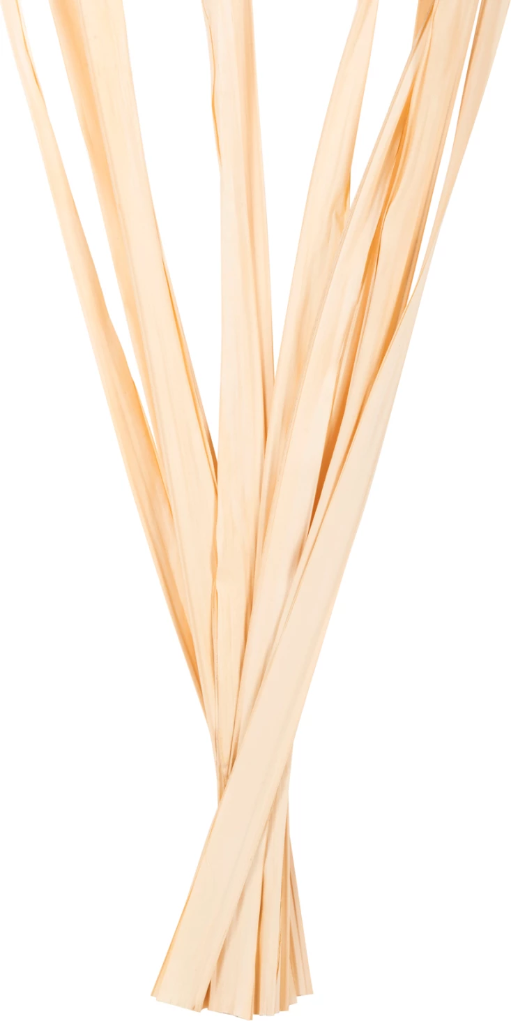 Buqetë dekorative me gjethe të thata, FH7964, 10 copë, natyrale, 120 cm