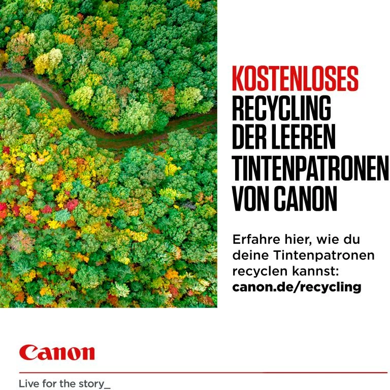 Kartricë boje, Canon, CL-546, 8 ml deri 180 faqe A4, ngjyra (CMY)