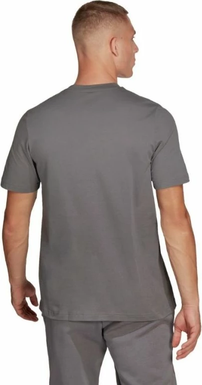 Maicë për Meshkuj adidas Entrada 22 Tee, Gri