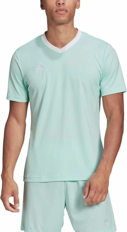 Maicë adidas për meshkuj, e gjelbër