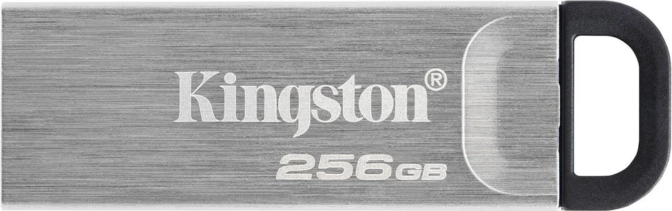 USB Flash Kingston DataTraveler 256GB Kyson, Argjendtë