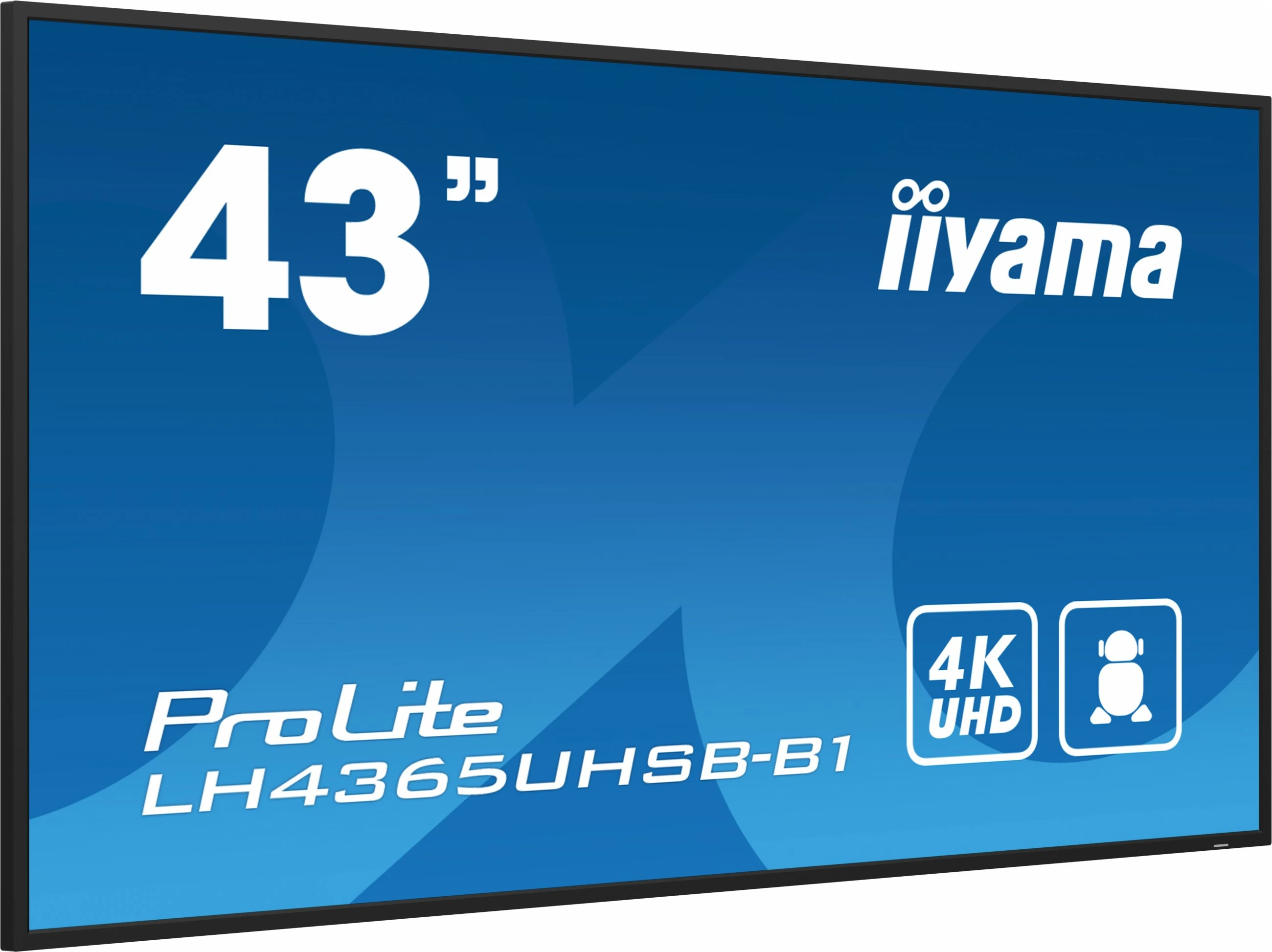 Monitor iiyama ProLite LH4365UHSB-B1, 43 inç, 4K Ultra HD, LED, Wi-Fi, zi