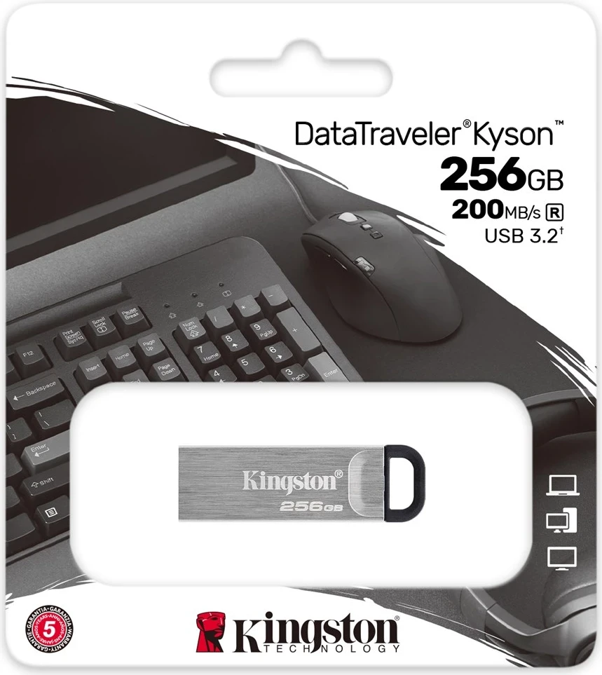 USB Flash Kingston DataTraveler 256GB Kyson, Argjendtë