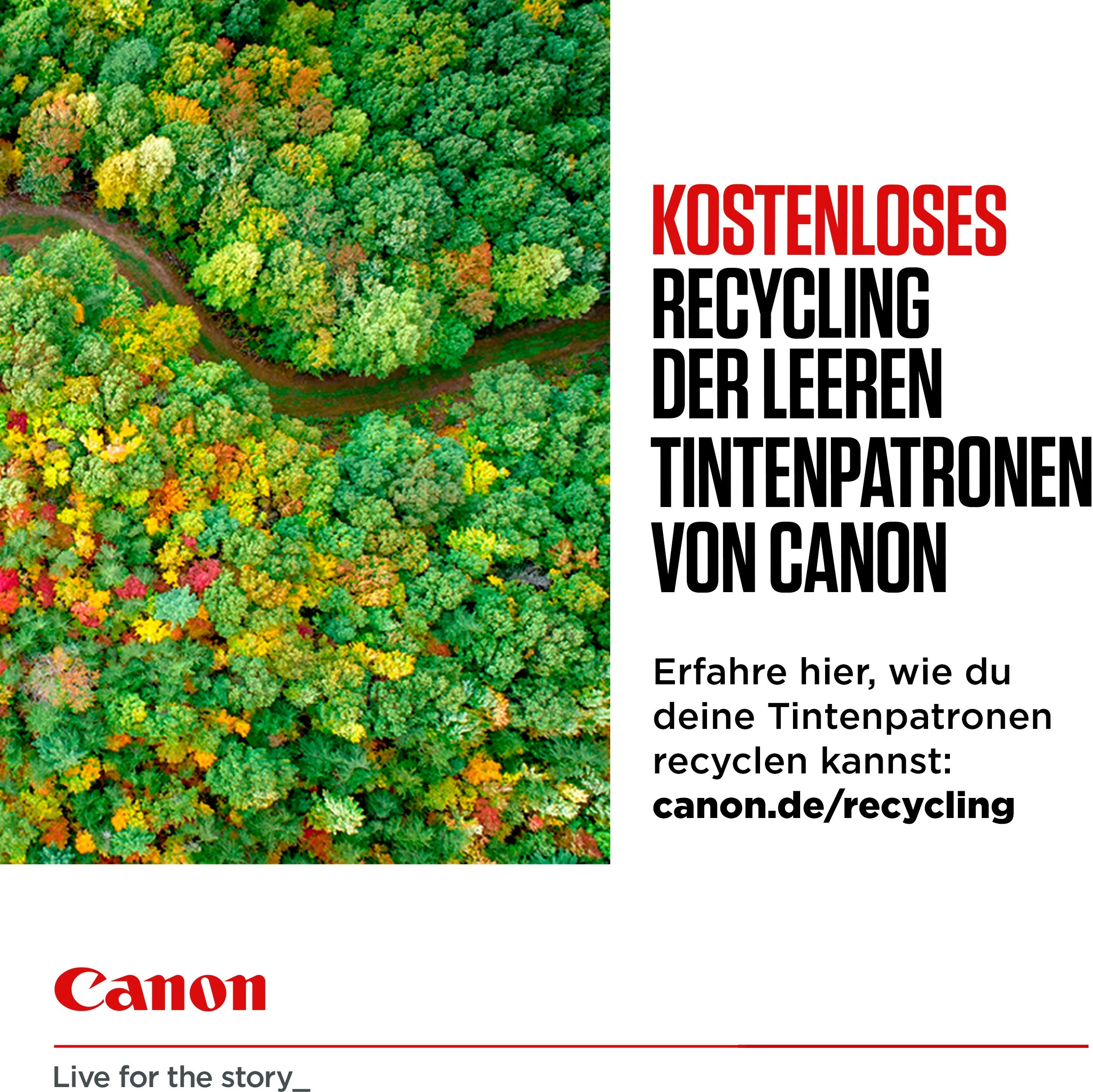 Toner Canon PG-545/CL-546, Multipack, Standard Yield, Ngjyrë e zezë, Cyan, Magenta, Yellow