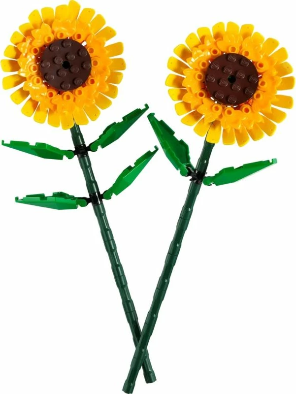 Set LEGO Botanical Collection lule dielli