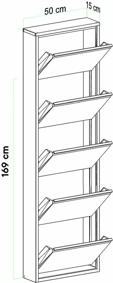 Dollap këpucësh metalik, 5 pjesë, ngjyrë antracit, Skye Decor
