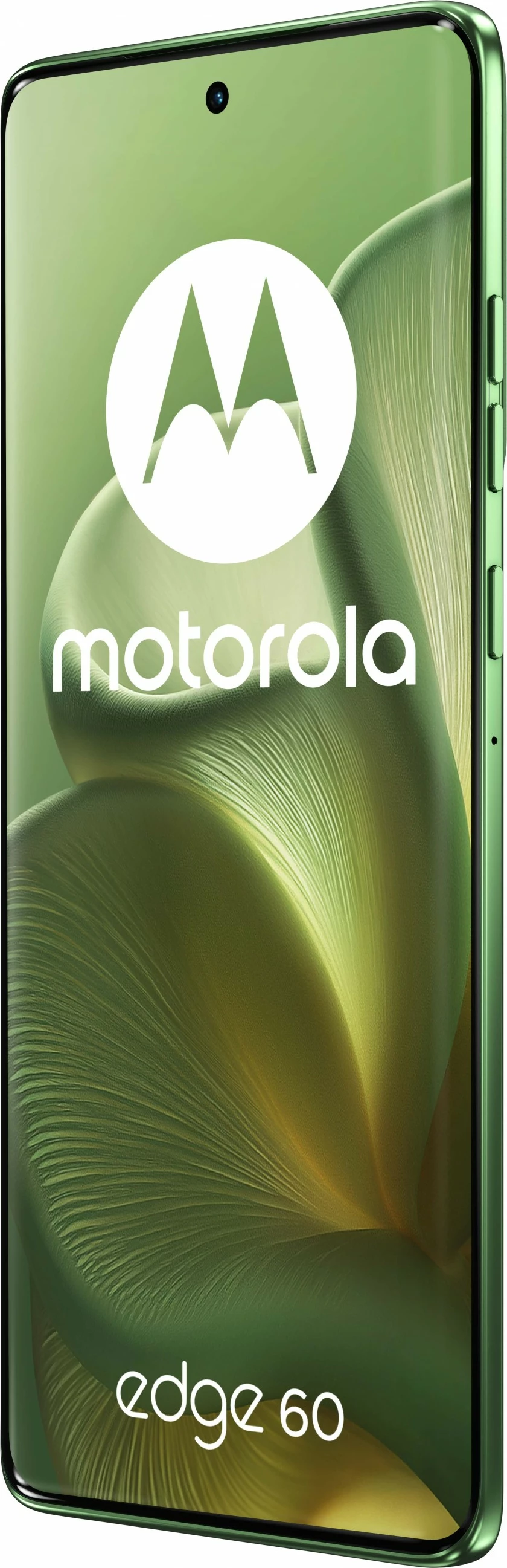 Celular Motorola Edge 60 5G 256GB gjelbër