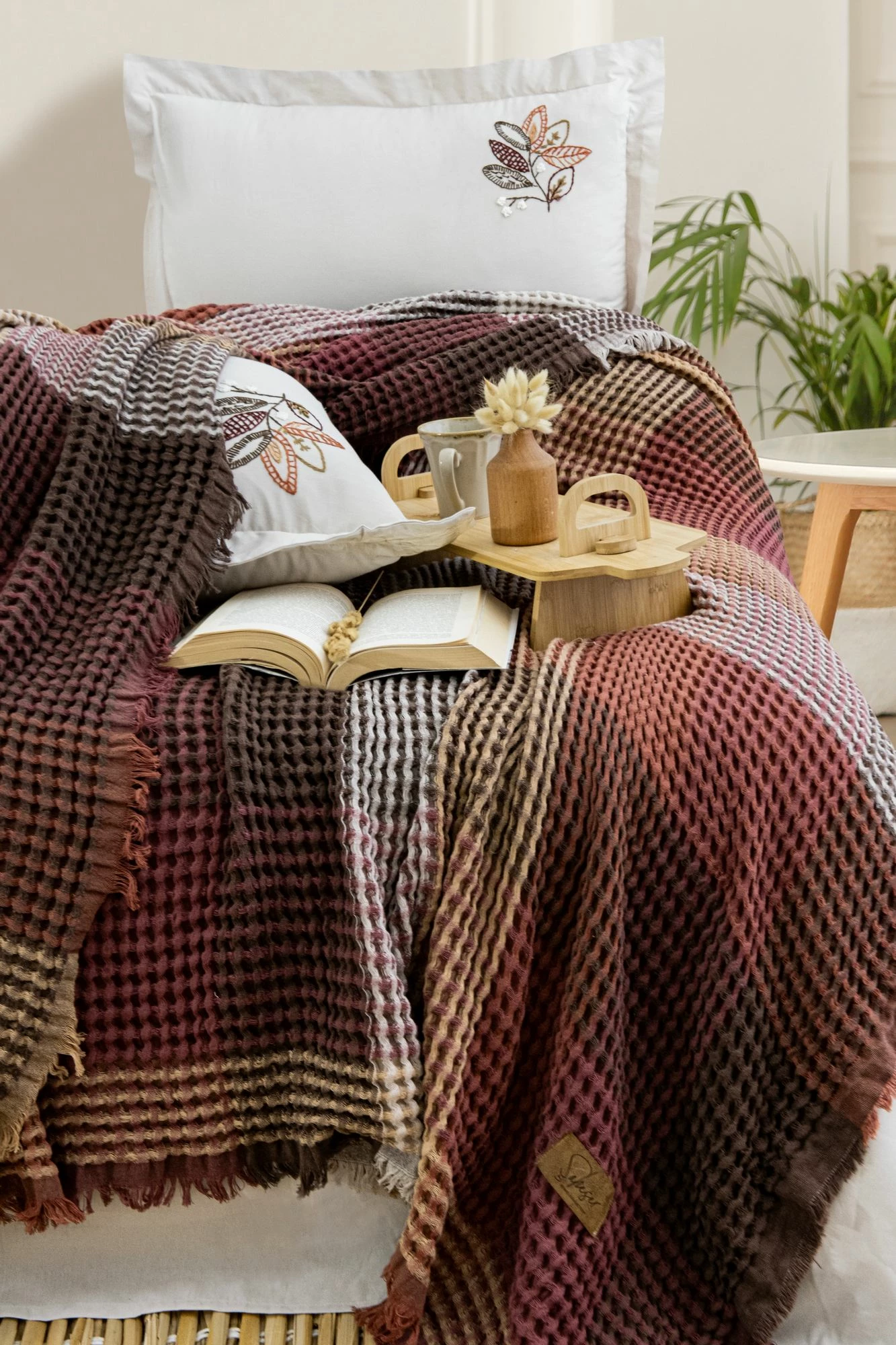 Set piké dopio Floransa, ngjyrë ecru