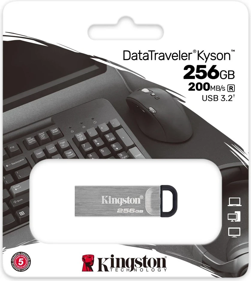 USB Flash Kingston DataTraveler 256GB Kyson, Argjendtë