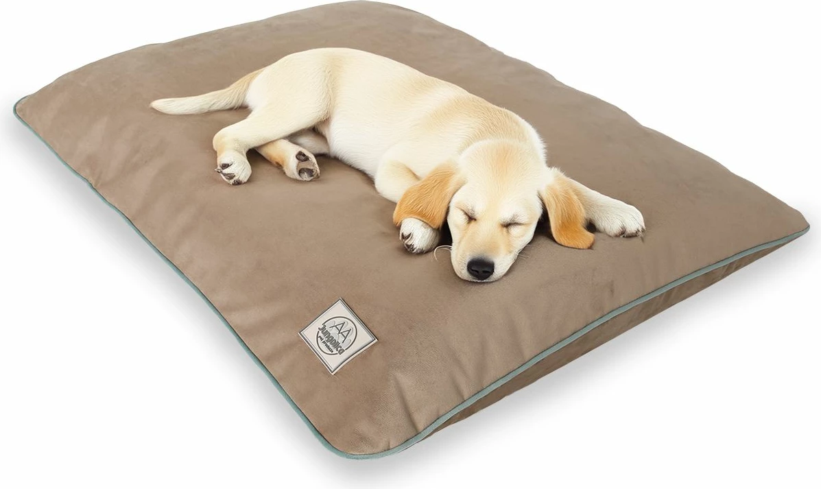 Shtrat për qenush, ngjyrë bezhë, Paws & Whiskers, S, 80x50x10cm