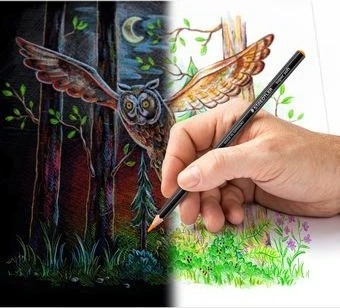 Lapsa ngjyrues STAEDTLER 149C C12, 12 copa, shumëngjyrëshe