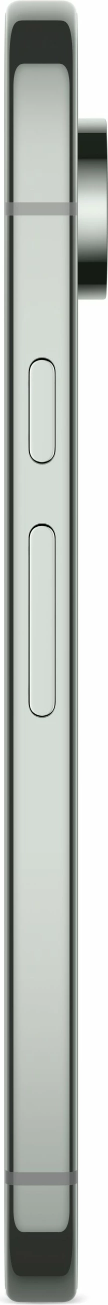 Celular Google Pixel 9 Pro XL, 16 GB, 256 GB, Gjelbër