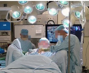 Krah muri Ergotron Interactive Arm, 30-55 inç, alumini