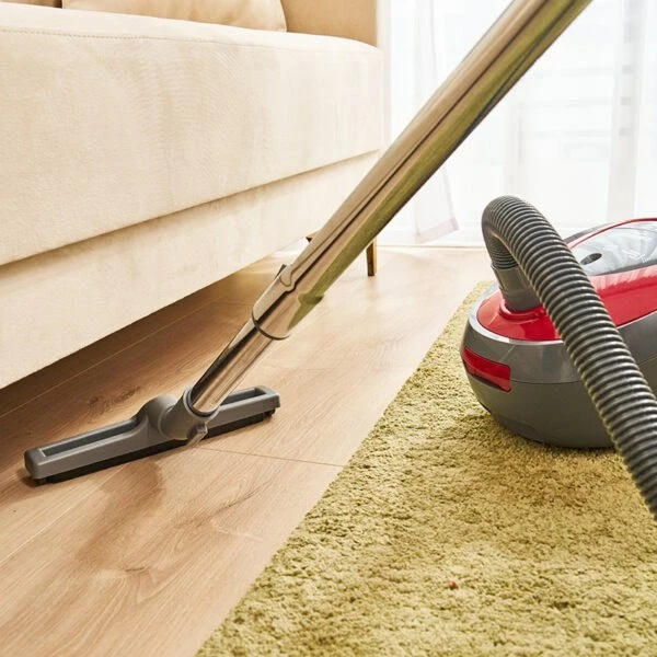 Fshesë me korrent Zelmer ZVC261, 800 W, 2.5 l, Gri