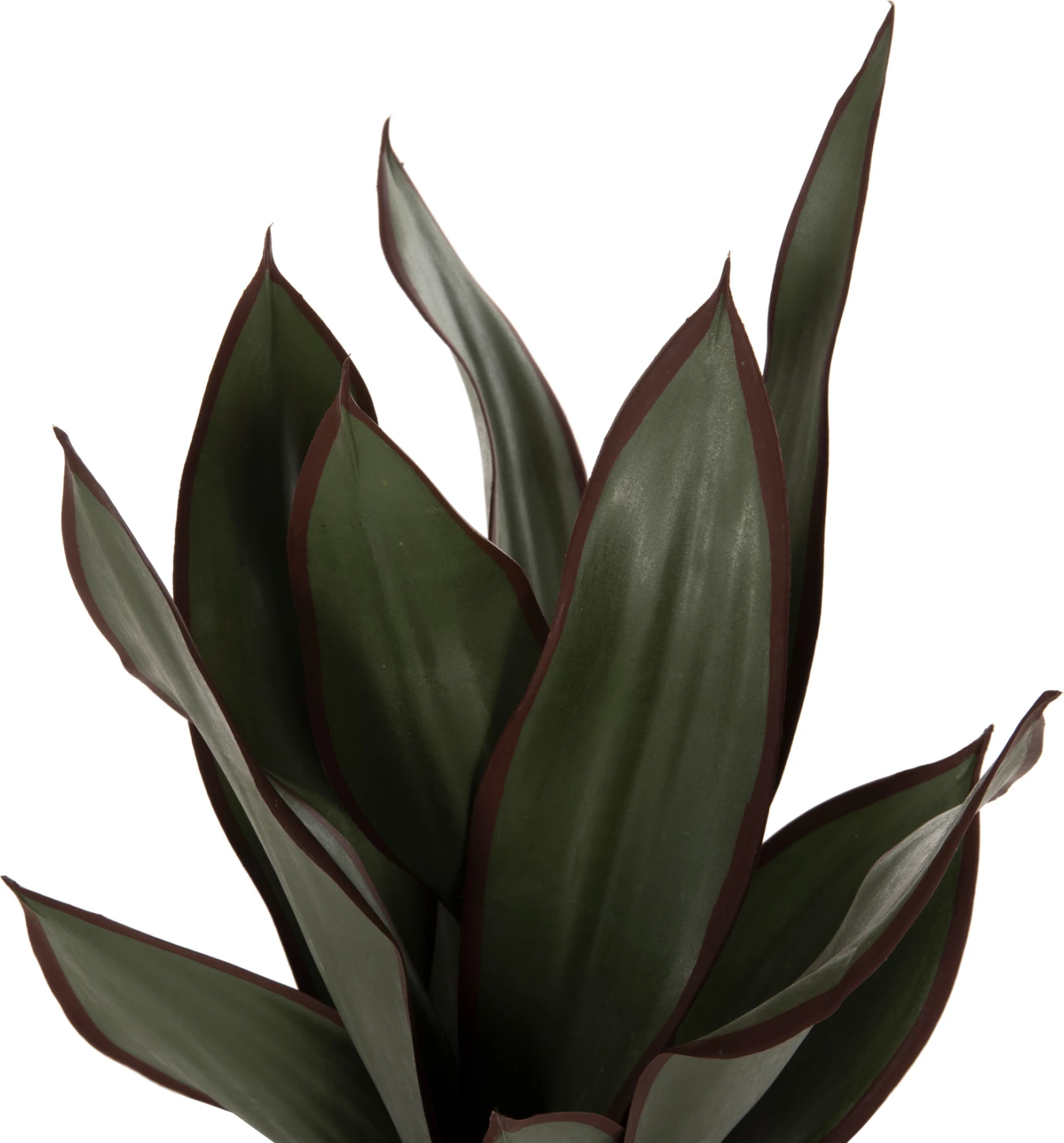 Bimë dekorative sintetike në vazo, gjethe të gjera Sansevieria, FH7996, 14x12-51cm