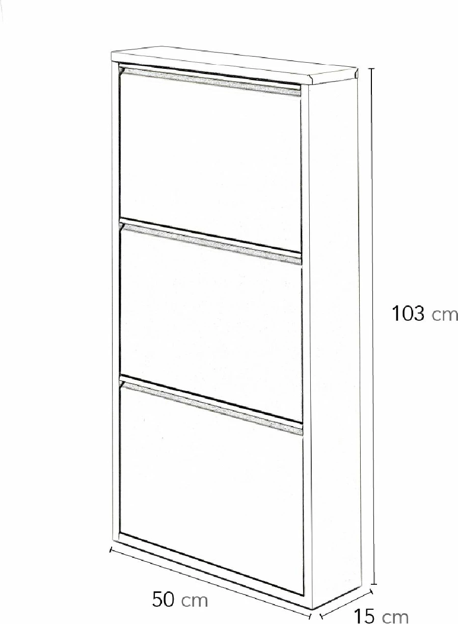 Dollap këpucësh metalik, ngjyrë e zezë, Skye Decor, Ggmbayk3003, 50x103x15cm