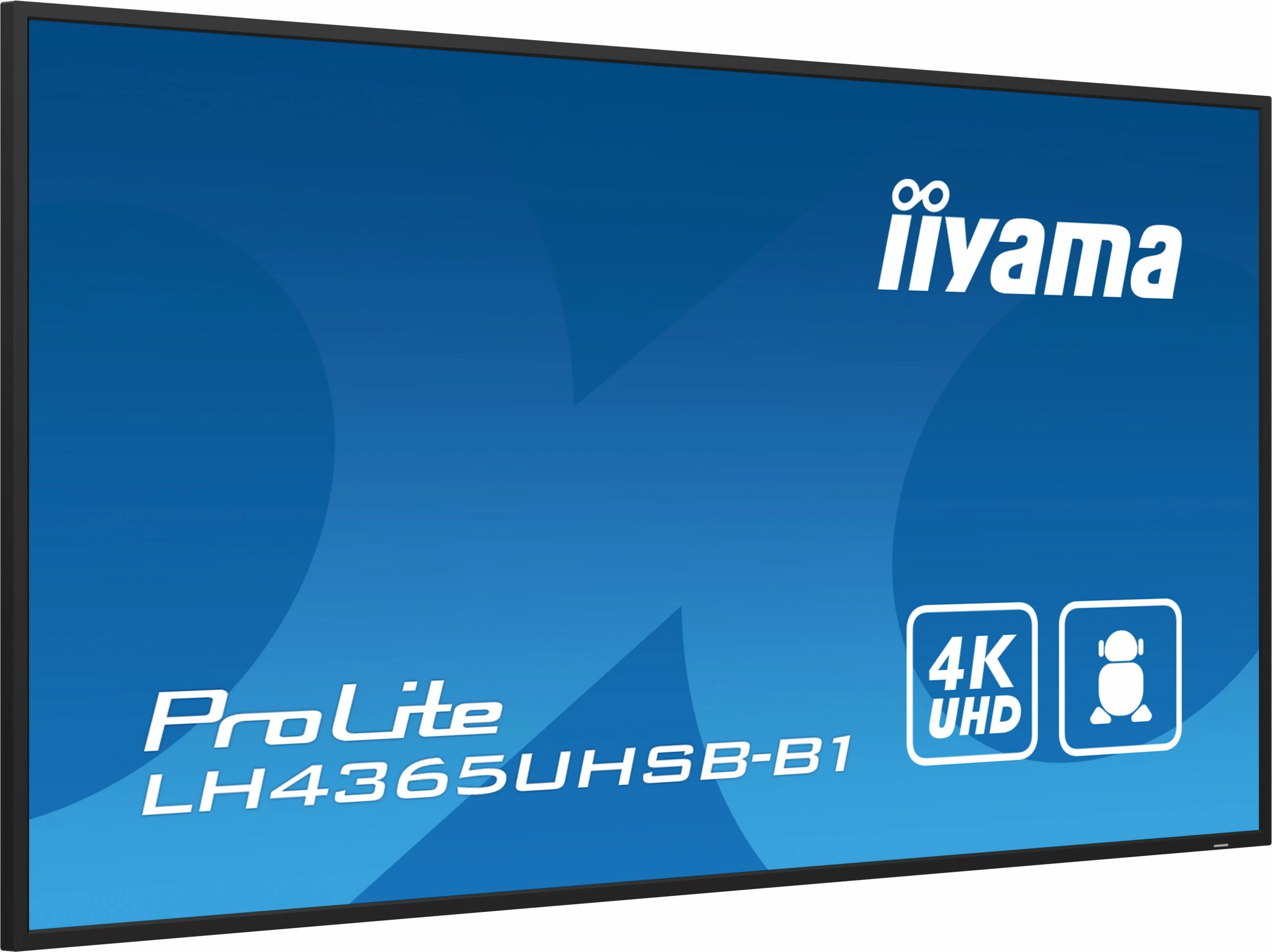 Monitor iiyama ProLite LH4365UHSB-B1, 43 inç, 4K Ultra HD, LED, Wi-Fi, zi