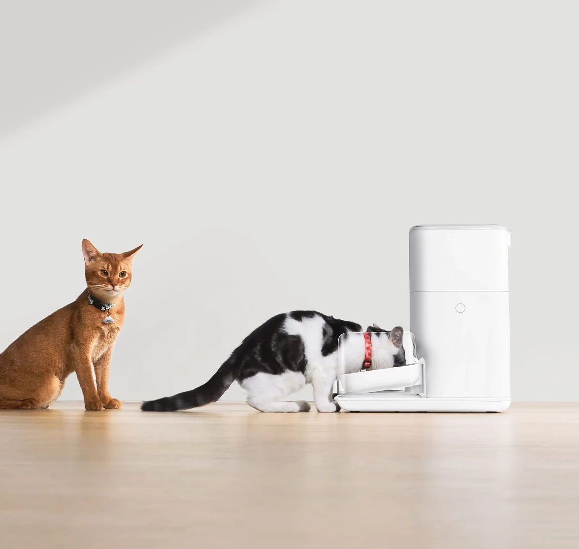 Dispenser smart ushqimi për mace Catlink Fresh 2 Luxury 4L Wi‑Fi, i bardhë, set