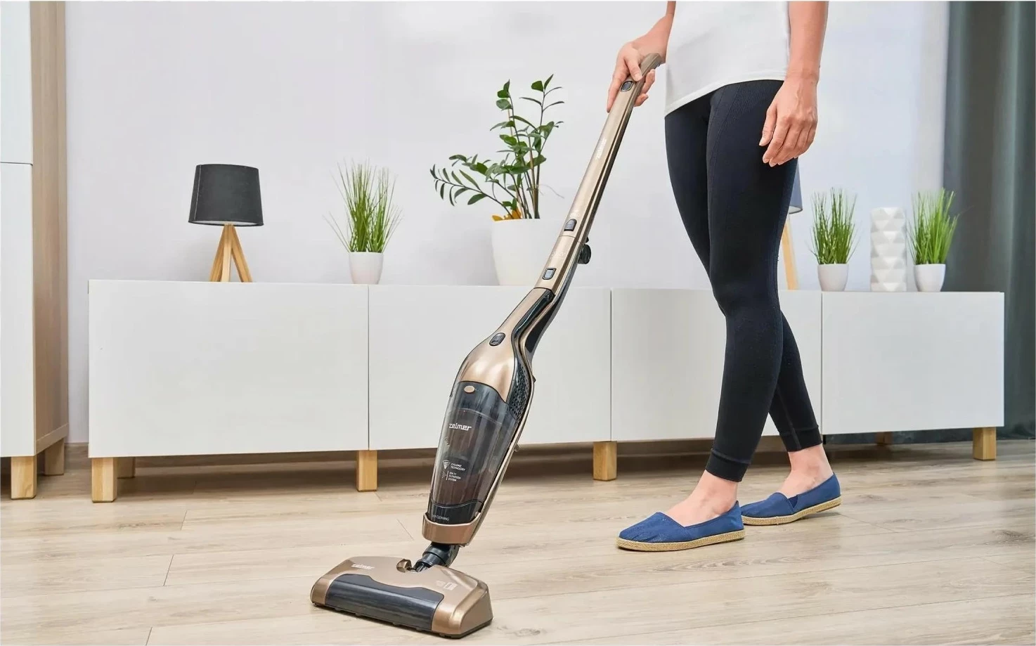 Fshesë elektrike Zelmer ZSVC422, 22V, e artë