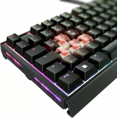 Tastierë mekanike Cherry XTRFY MX 3.1, Wired, USB, RGB LED, QWERTZ, e zezë