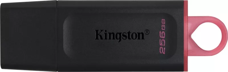 Flash memorie USB Kingston, 256 GB, Gen 1, e zezë