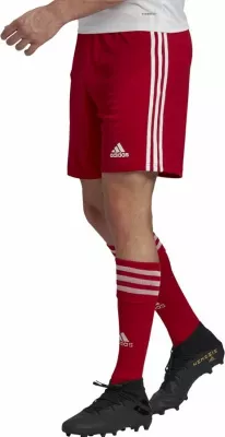Shorce për meshkuj adidas Squadra 21, të kuqe [Madhësia: XXL]