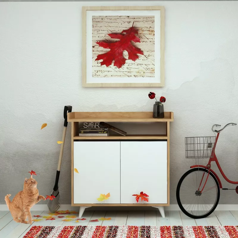 Dollap këpucësh Hanah Home, Springa, ngjyrë lis dhe e bardhë, 100x102x35cm
