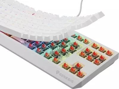 Tastierë mekanike GENESIS Thor 230 TKL, QWERTY, US English, RGB, e bardhë