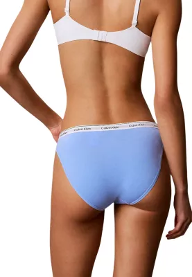 Të brendshme bikini Calvin Klein Underwear 000QD5208E, për femra, gri e çelët [Madhësia: L]