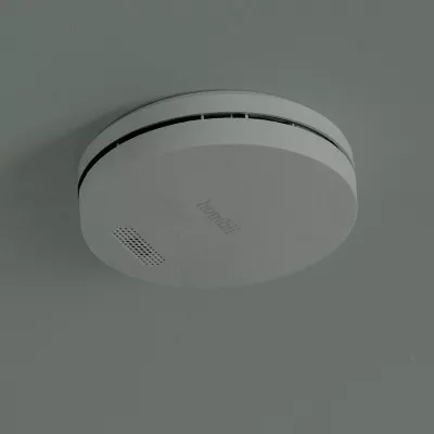 Detektor tymi Hombli HBSA-0108, Wireless, Gri