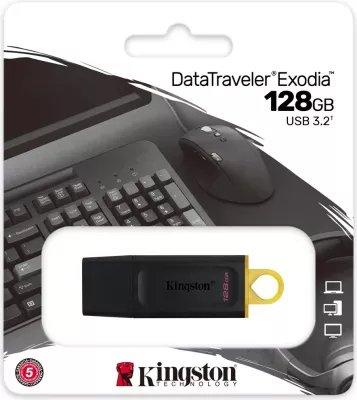 USB Kingston DataTraveler type-A, 128GB,i zi