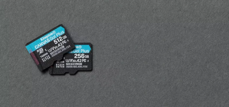 MicroSD Kingston, 256 GB, Canvas Go