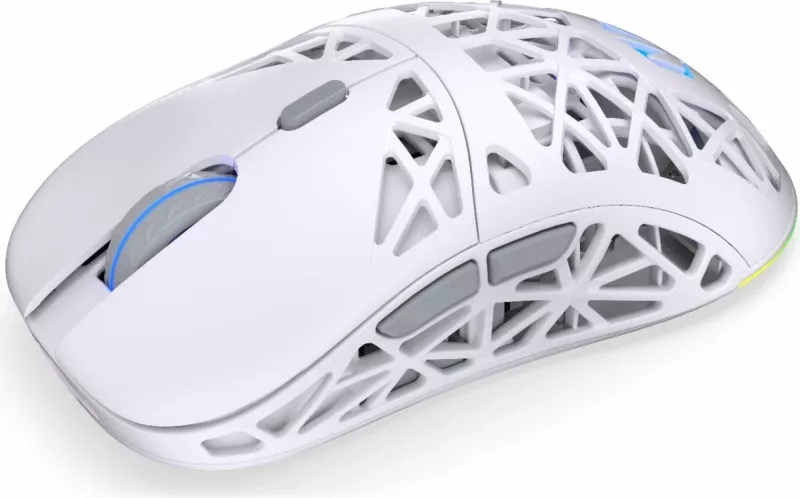 Maus wireless Endorfy LIV Plus Onyx, RGB, i bardhë