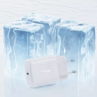Karikues rrjeti USB-C PD 30W QC SFC, Joyroom JR-TCF24, 1 port, PPS, prizë EU, kabllo USB-C 1m, i bardhë, set