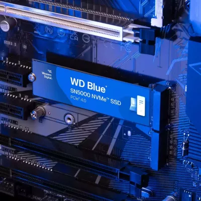 SSD Western Digital Blue SN5000, 500 GB, M.2, 5000 MB/s, Blu
