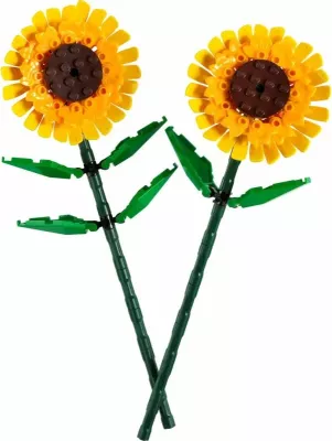 Set LEGO Botanical Collection lule dielli