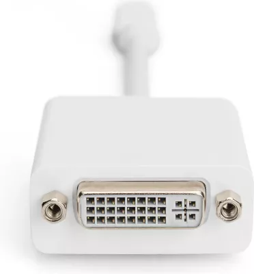Adapter DisplayPort Digitus Mini DisplayPort në DVI-D, 0.15m, i bardhë