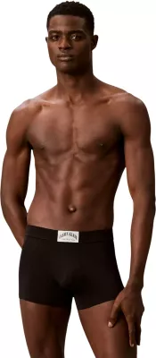 Të brendshme për meshkuj Calvin Klein Underwear TRUNK LV00NB4504, të zeza