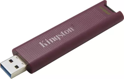 USB Kingston DataTraveler MAX, 256GB, e vjollcë