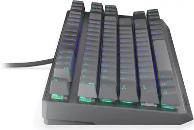 Tastierë mekanike Endorfy Thock V2 TKL, RGB, 80%, Hot-Swap, USB-C, gri