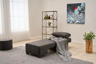 Krevat-sofë një vendësh Atelier del Sofa, liri Perenna, kënd majtas, antracit