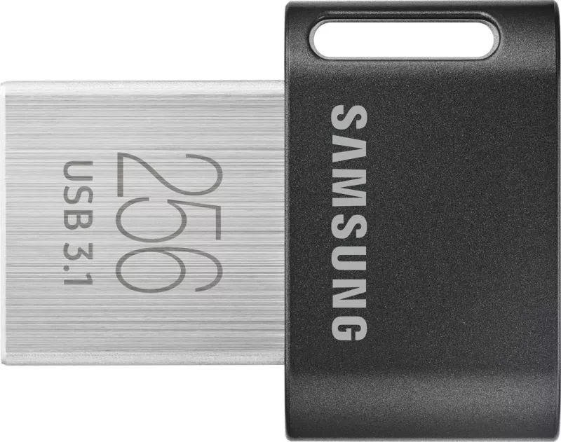 USB flash drive Samsung MUF-256AB, 256 GB, USB 3.2 Gen 1, Gri/Argjend