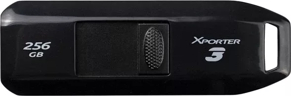 USB Flash Patriot Memory, 256GB